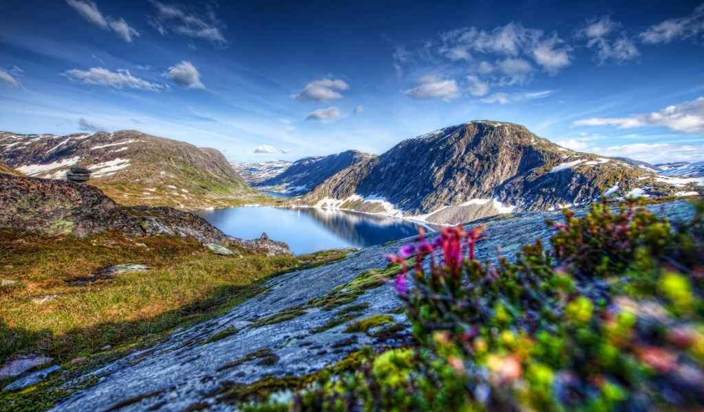 Awesome Spring Landscape for 1024 x 600 widescreen resolution