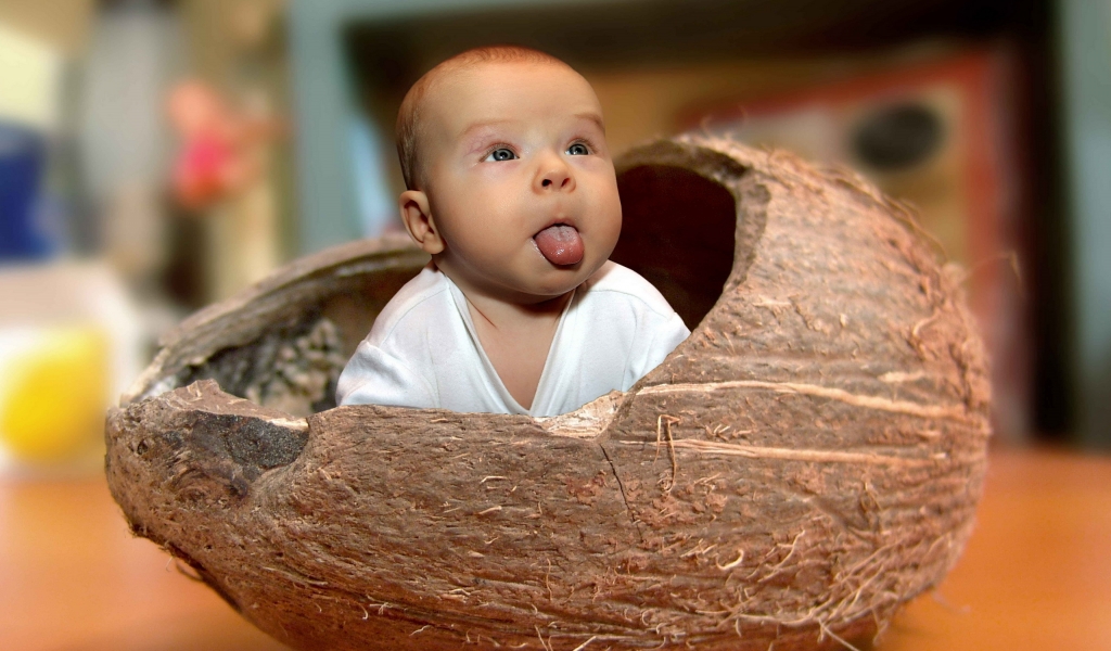 Baby Coconut for 1024 x 600 widescreen resolution