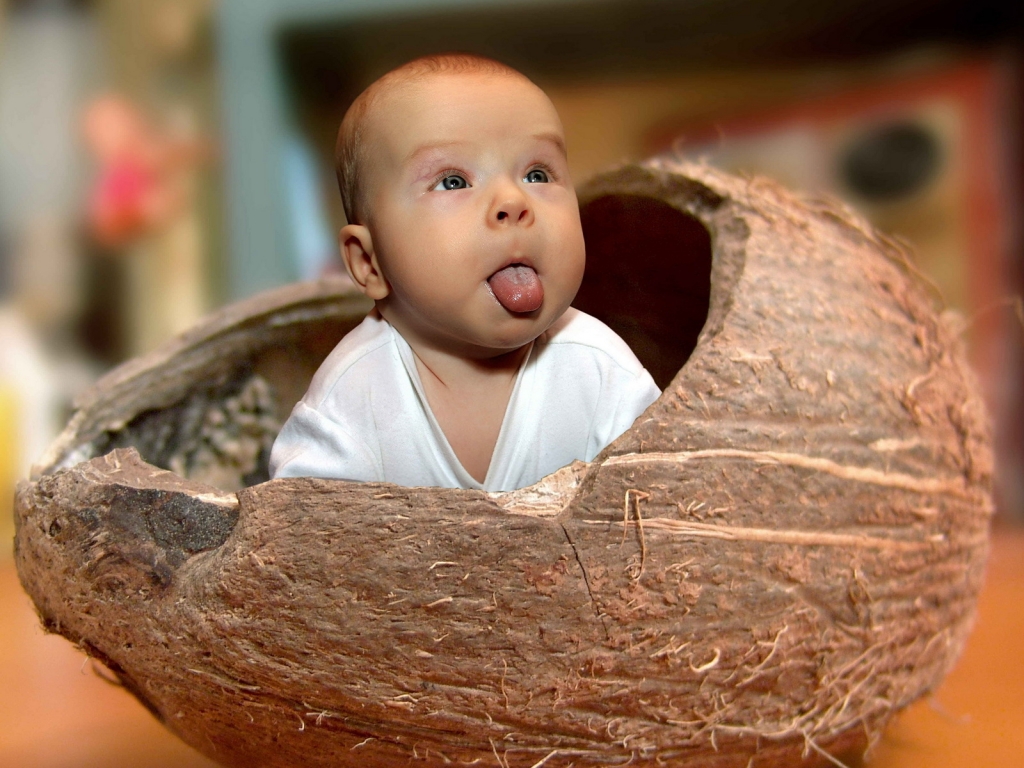 Baby Coconut for 1024 x 768 resolution