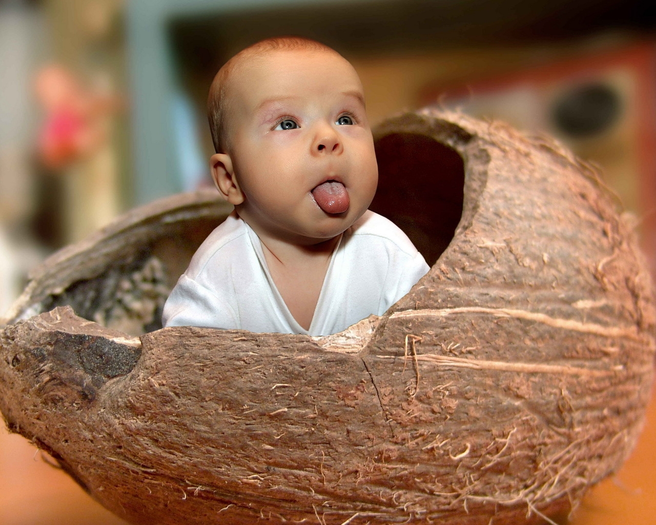 Baby Coconut for 1280 x 1024 resolution