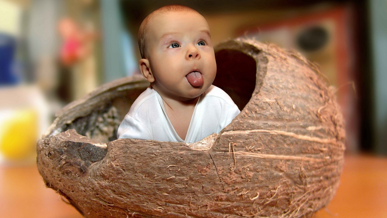 Baby Coconut for 1280 x 720 HDTV 720p resolution