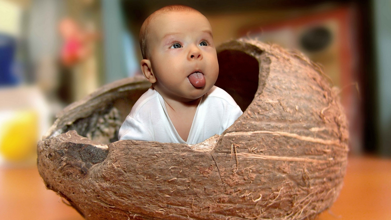 Baby Coconut for 1366 x 768 HDTV resolution