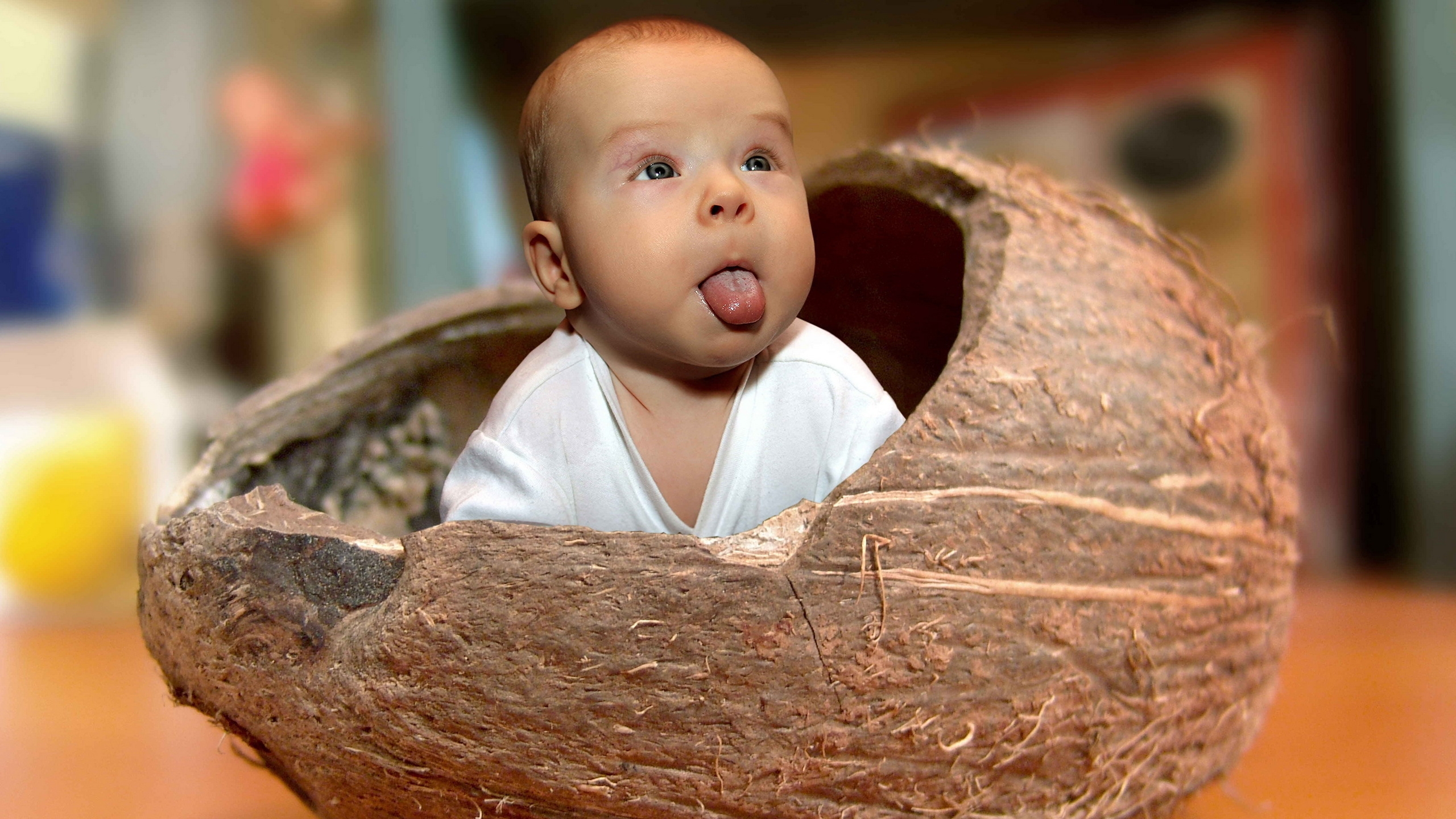 Baby Coconut for 2560x1440 HDTV resolution
