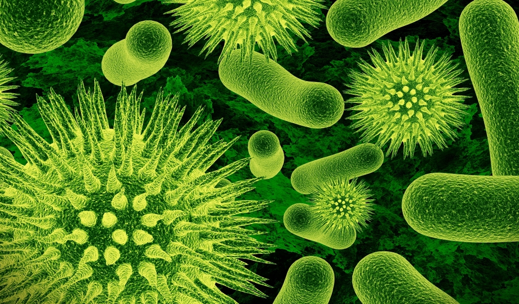 Bacteria for 1024 x 600 widescreen resolution