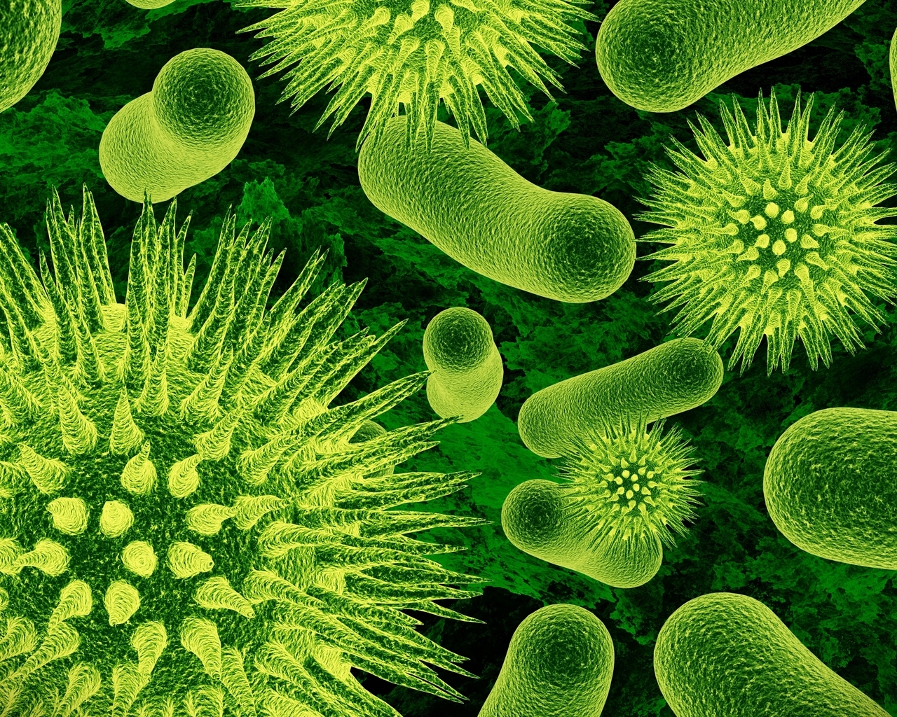 Bacteria for 1280 x 1024 resolution