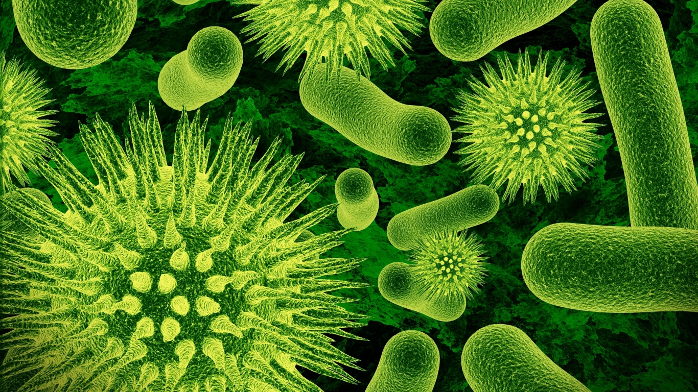 Bacteria for 1366 x 768 HDTV resolution