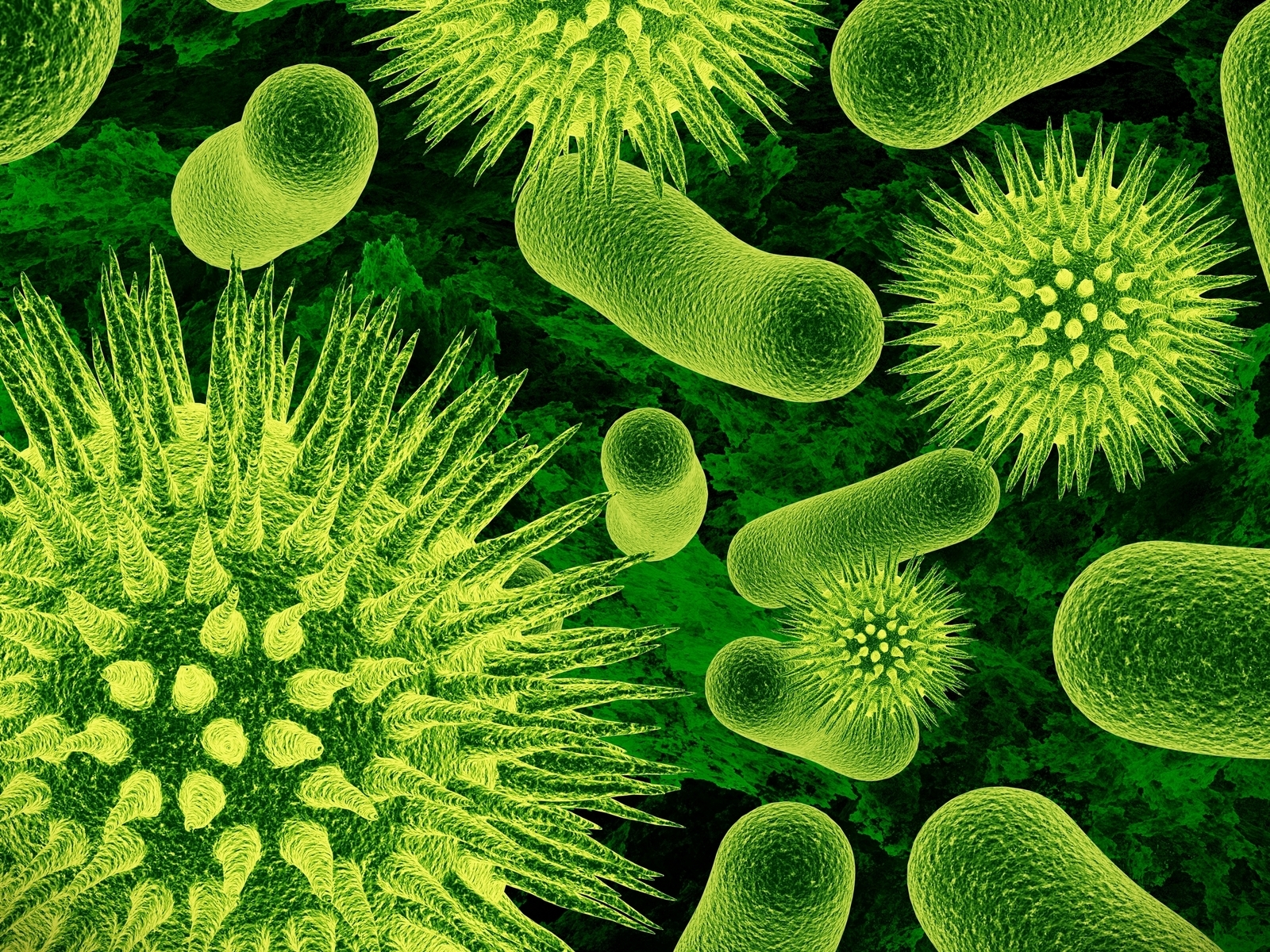 Bacteria for 1600 x 1200 resolution