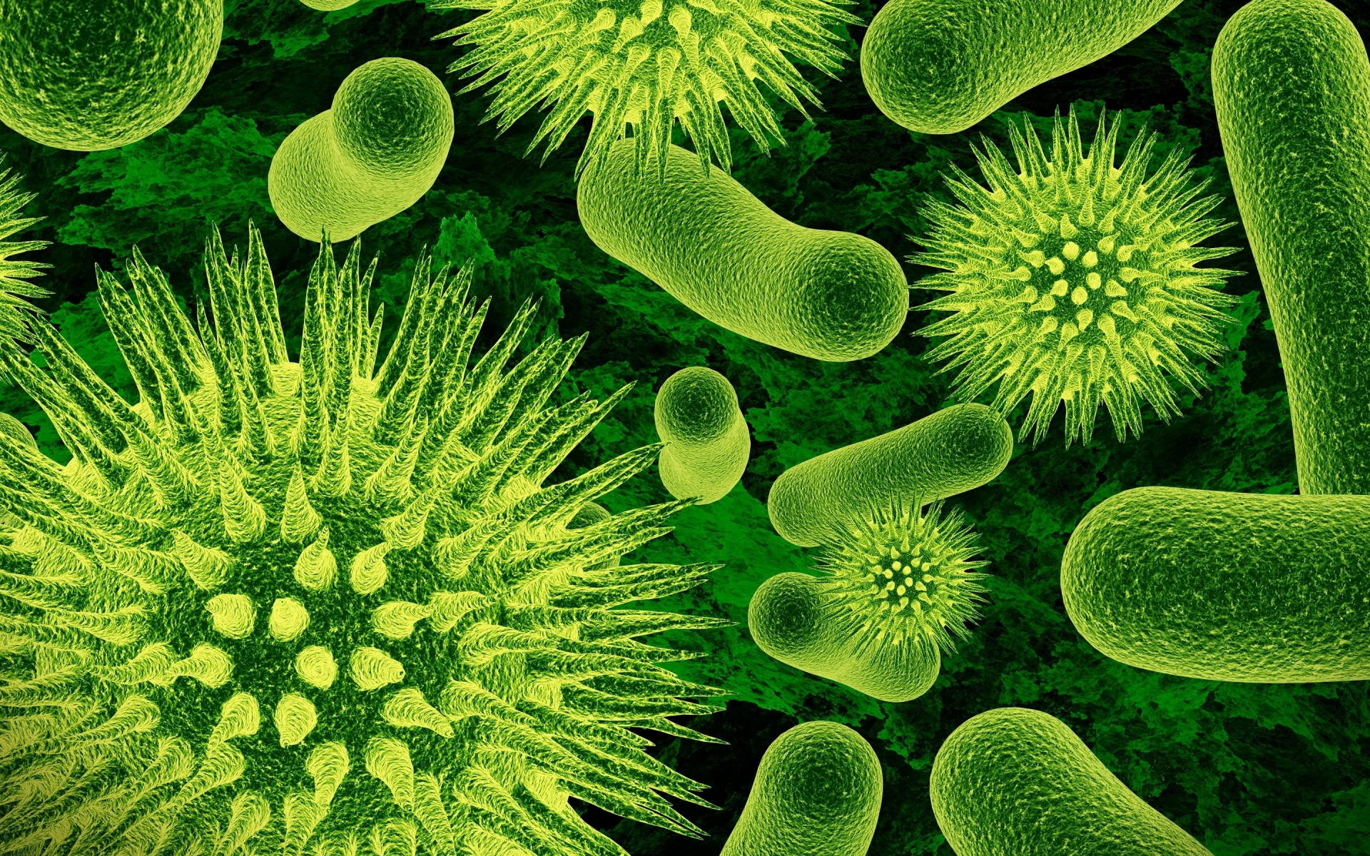 Bacteria for 1920 x 1200 widescreen resolution