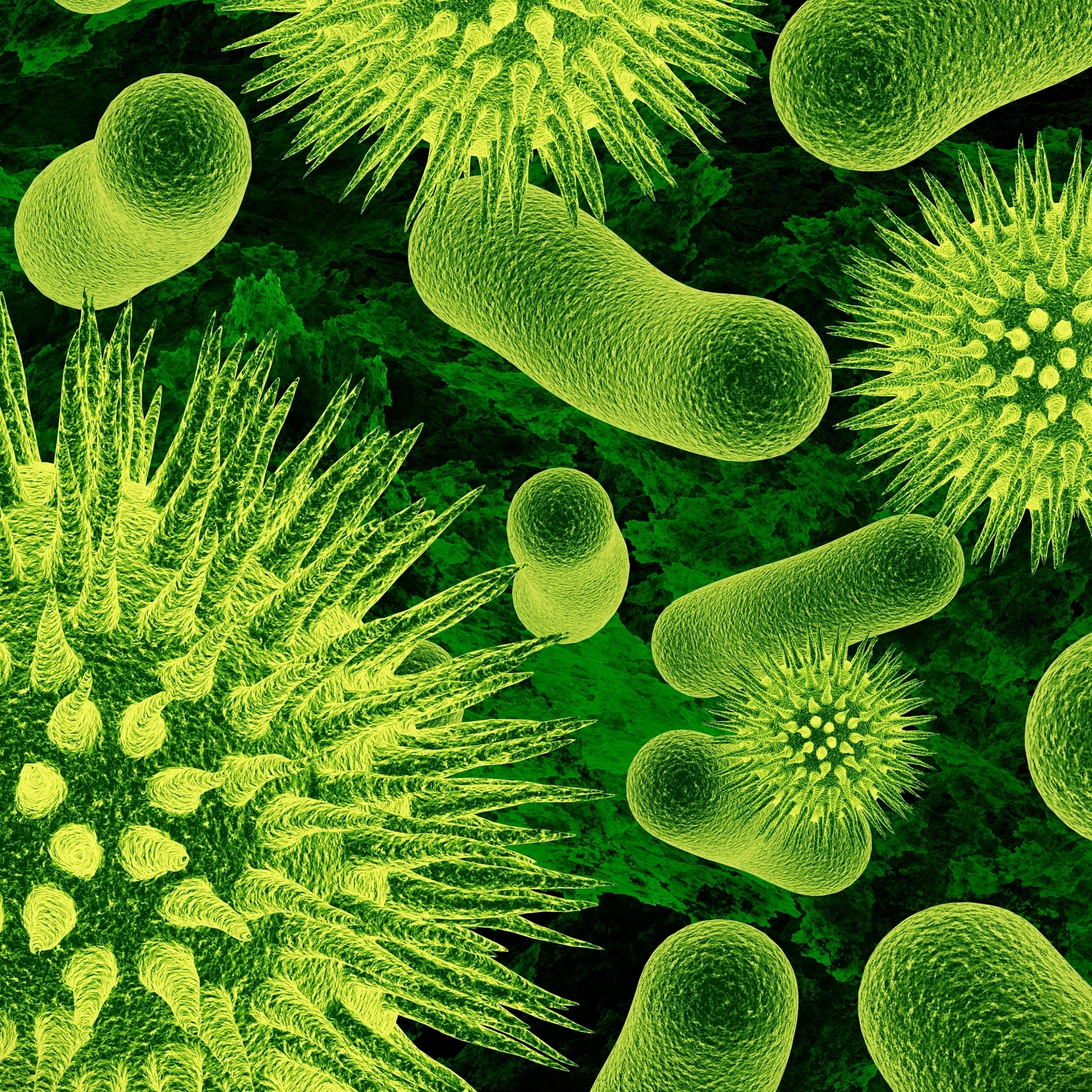 Bacteria for 2048 x 2048 New iPad resolution