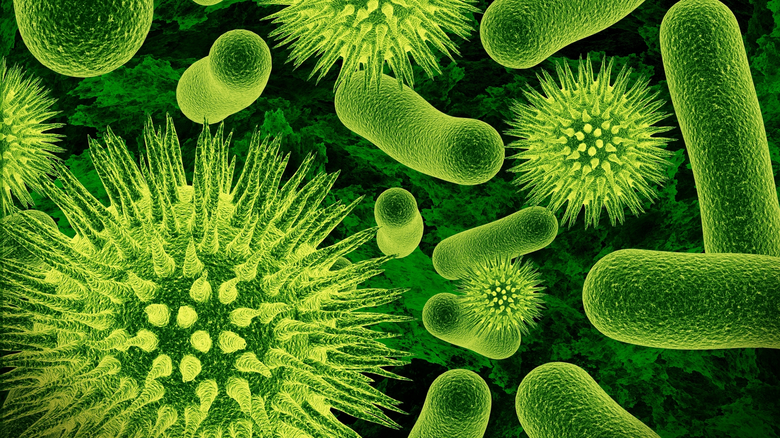 Bacteria for 2560x1440 HDTV resolution