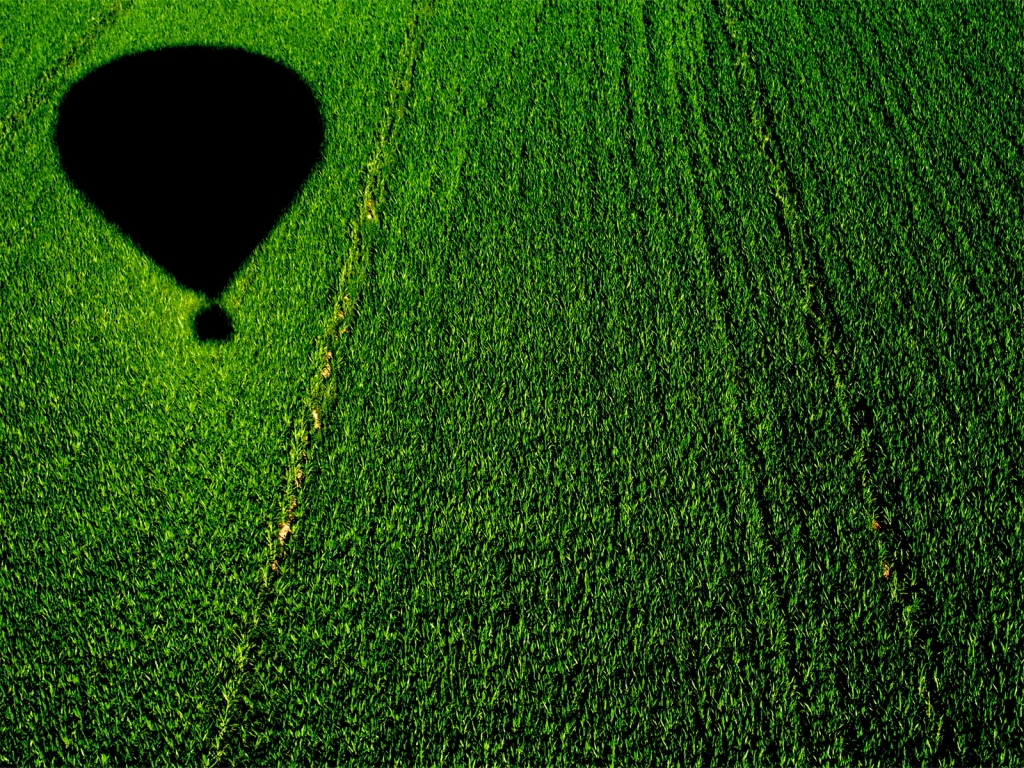 Balloon over a Cornfield for 1024 x 768 resolution