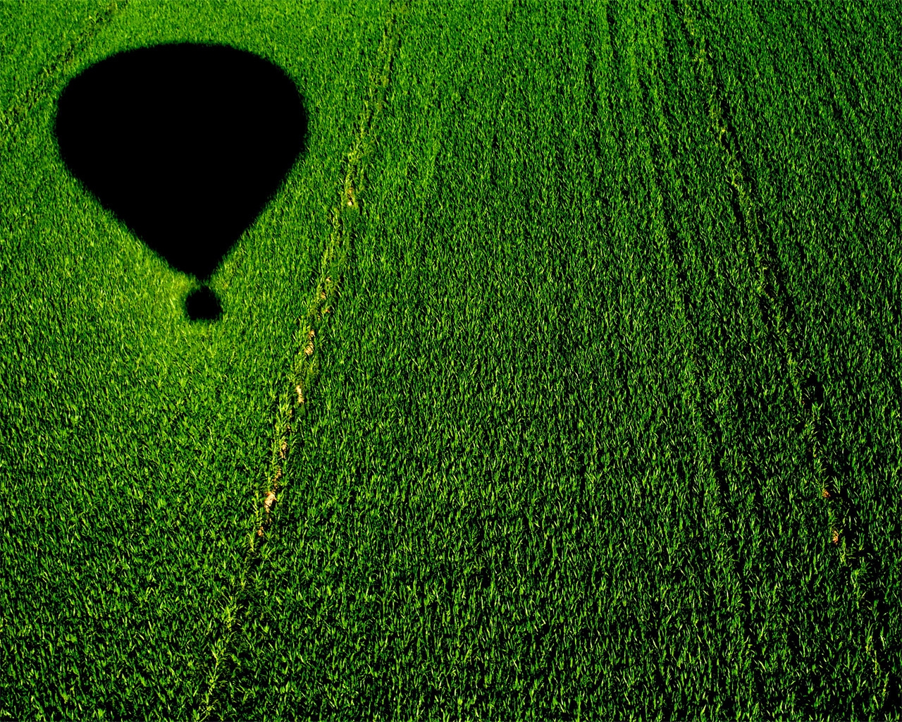 Balloon over a Cornfield for 1280 x 1024 resolution
