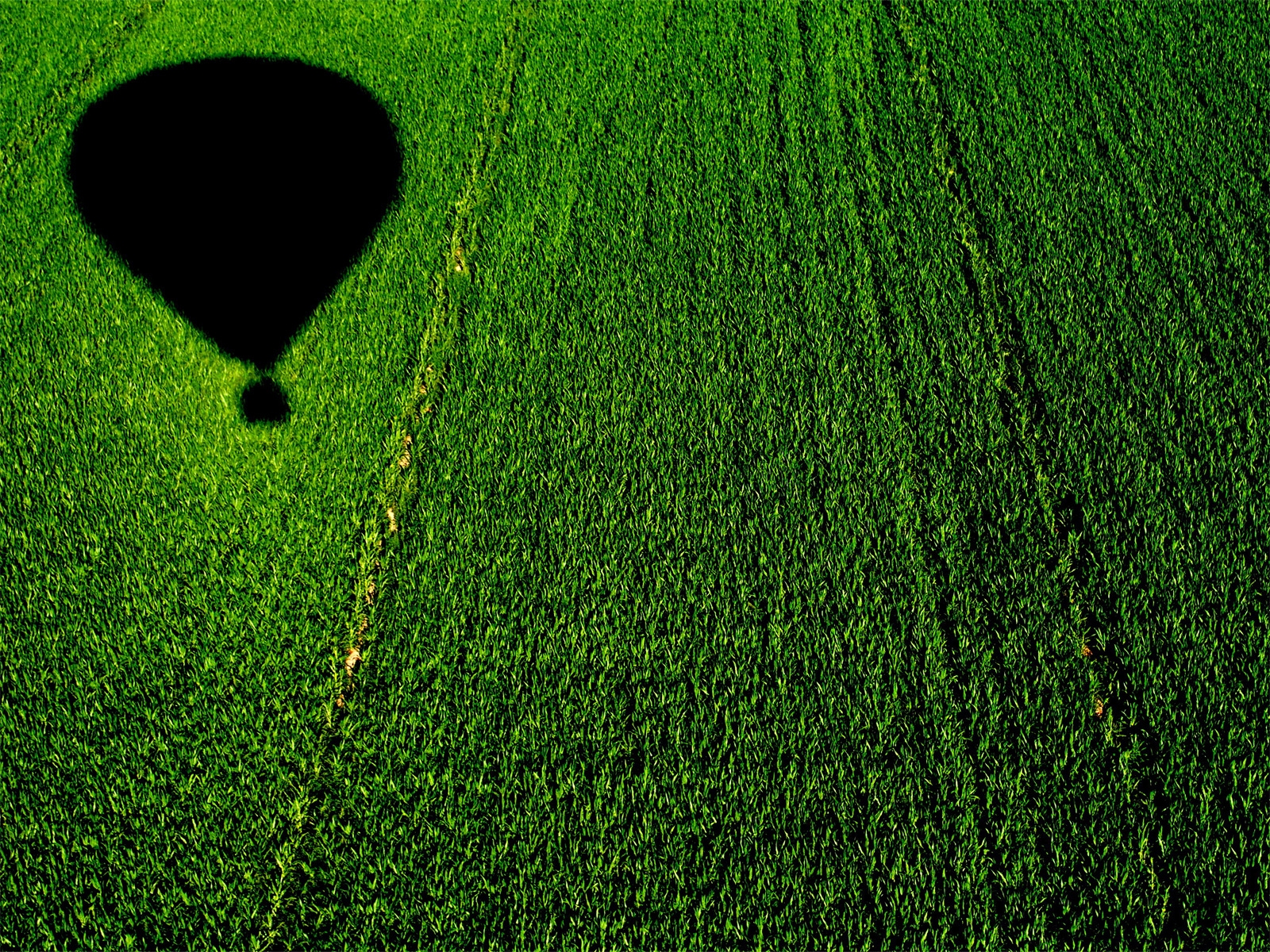 Balloon over a Cornfield for 1600 x 1200 resolution