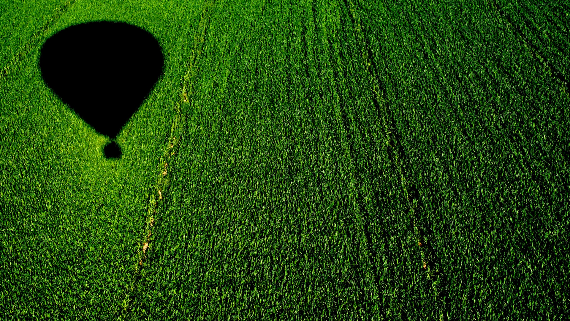 Balloon over a Cornfield for 1920 x 1080 HDTV 1080p resolution