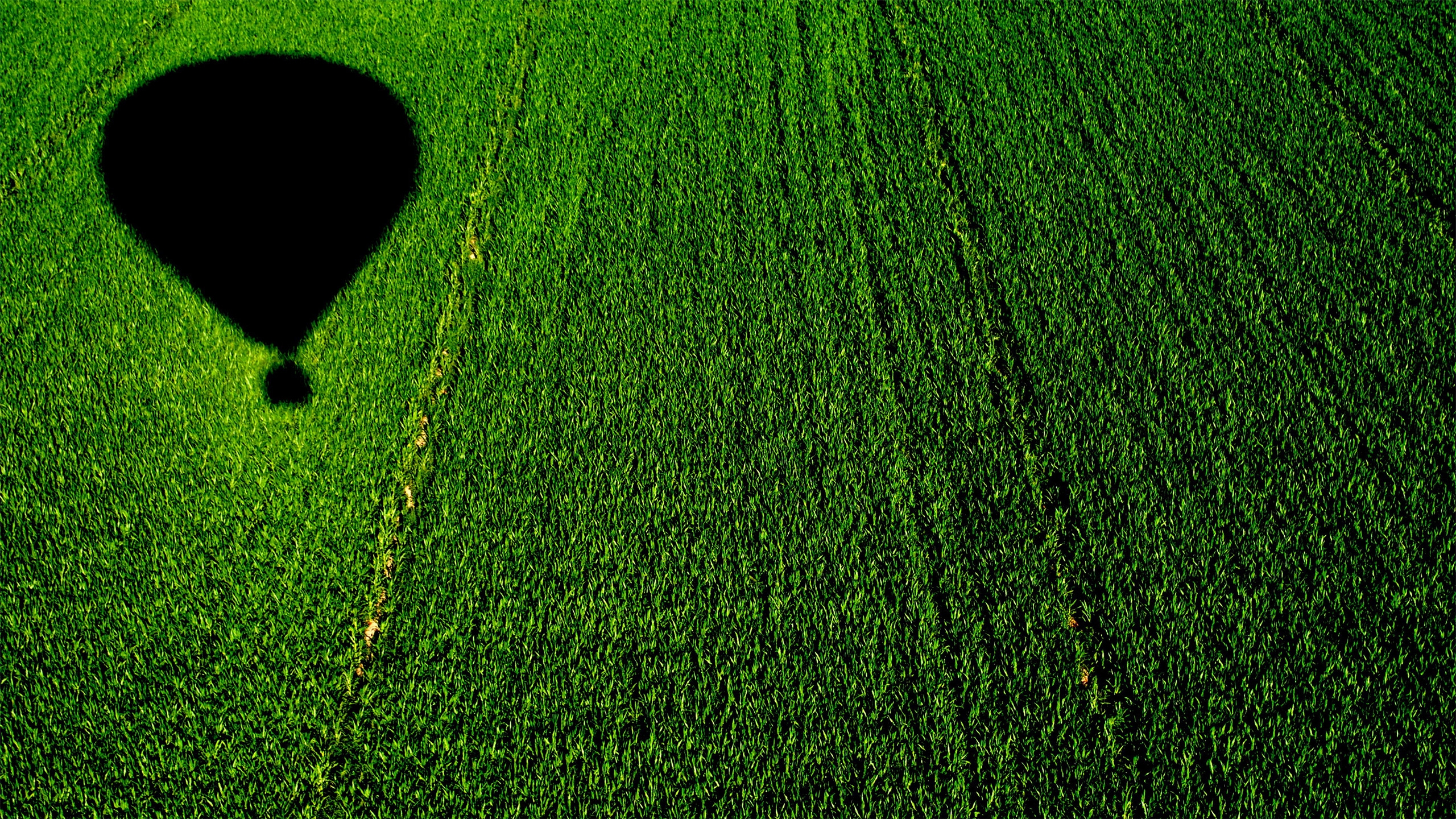 Balloon over a Cornfield for 2560x1440 HDTV resolution