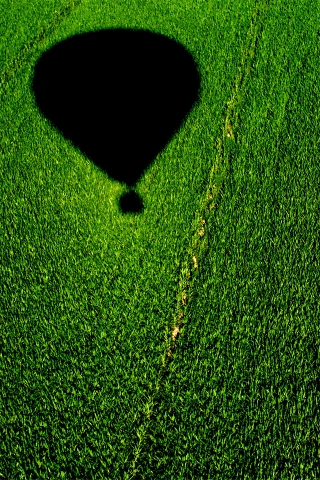 Balloon over a Cornfield for 320 x 480 iPhone resolution