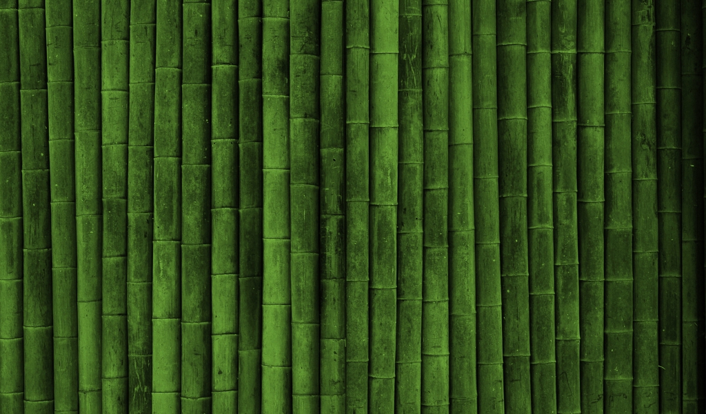 Bamboo for 1024 x 600 widescreen resolution