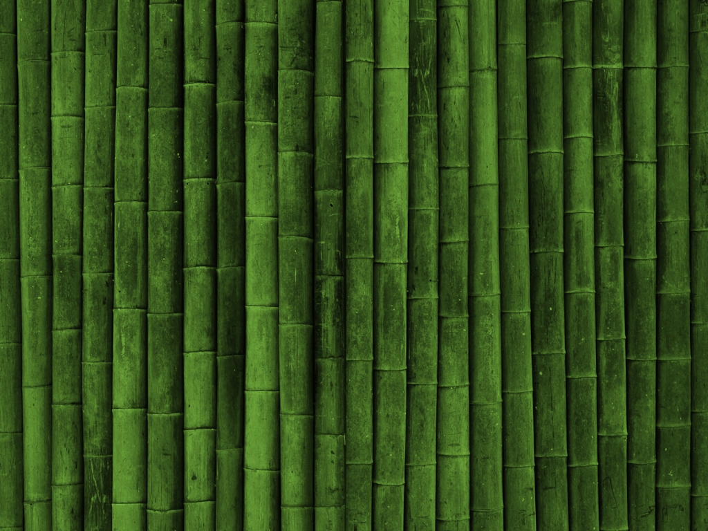 Bamboo for 1024 x 768 resolution