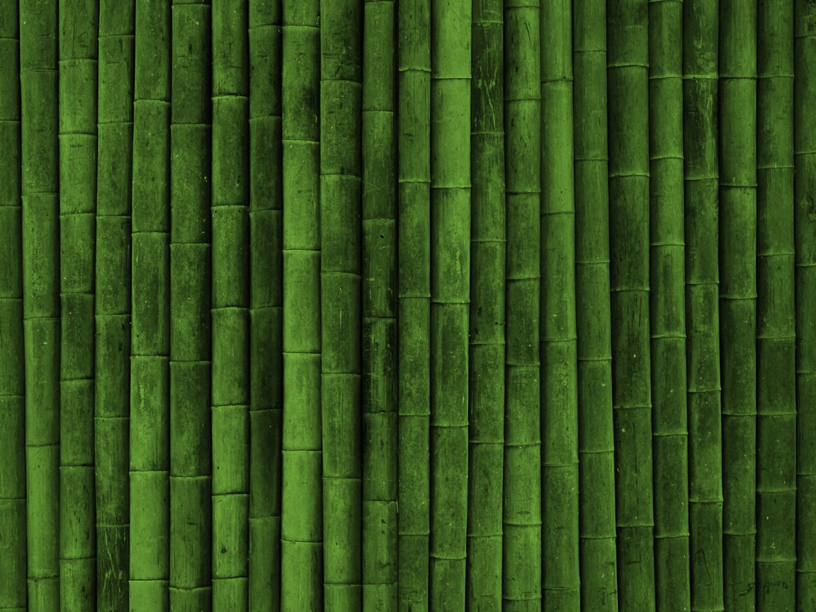 Bamboo for 1152 x 864 resolution