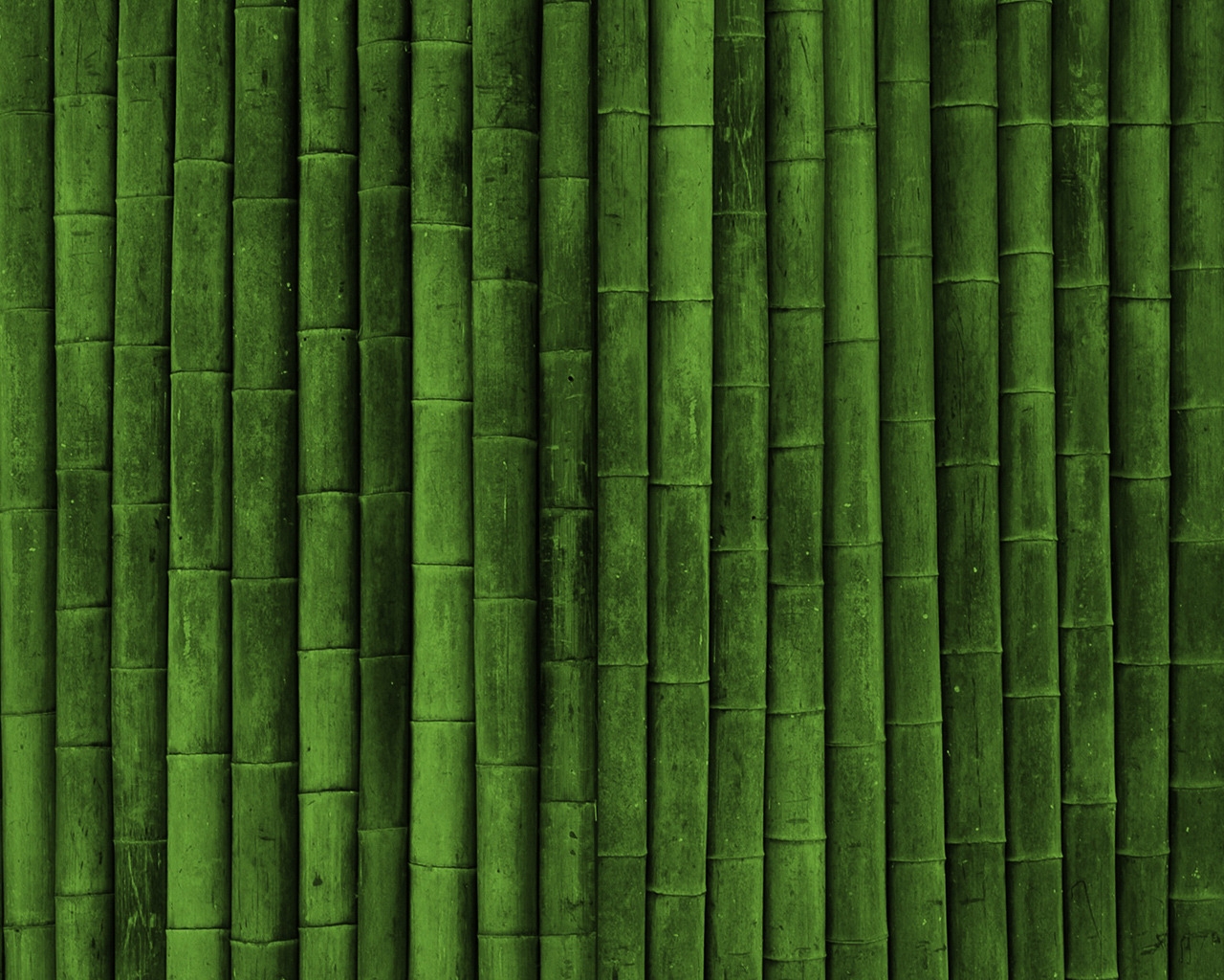 Bamboo for 1280 x 1024 resolution