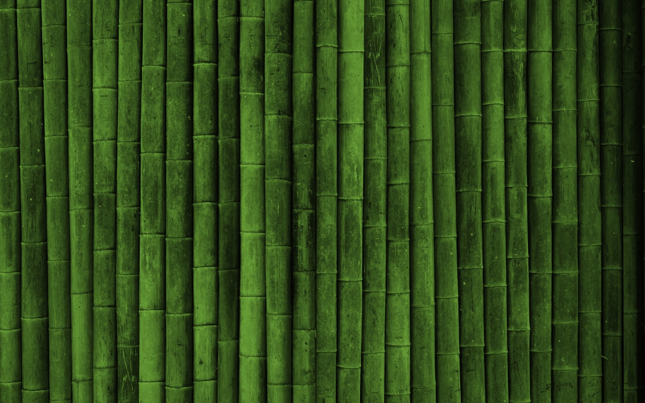 Bamboo for 1280 x 800 widescreen resolution