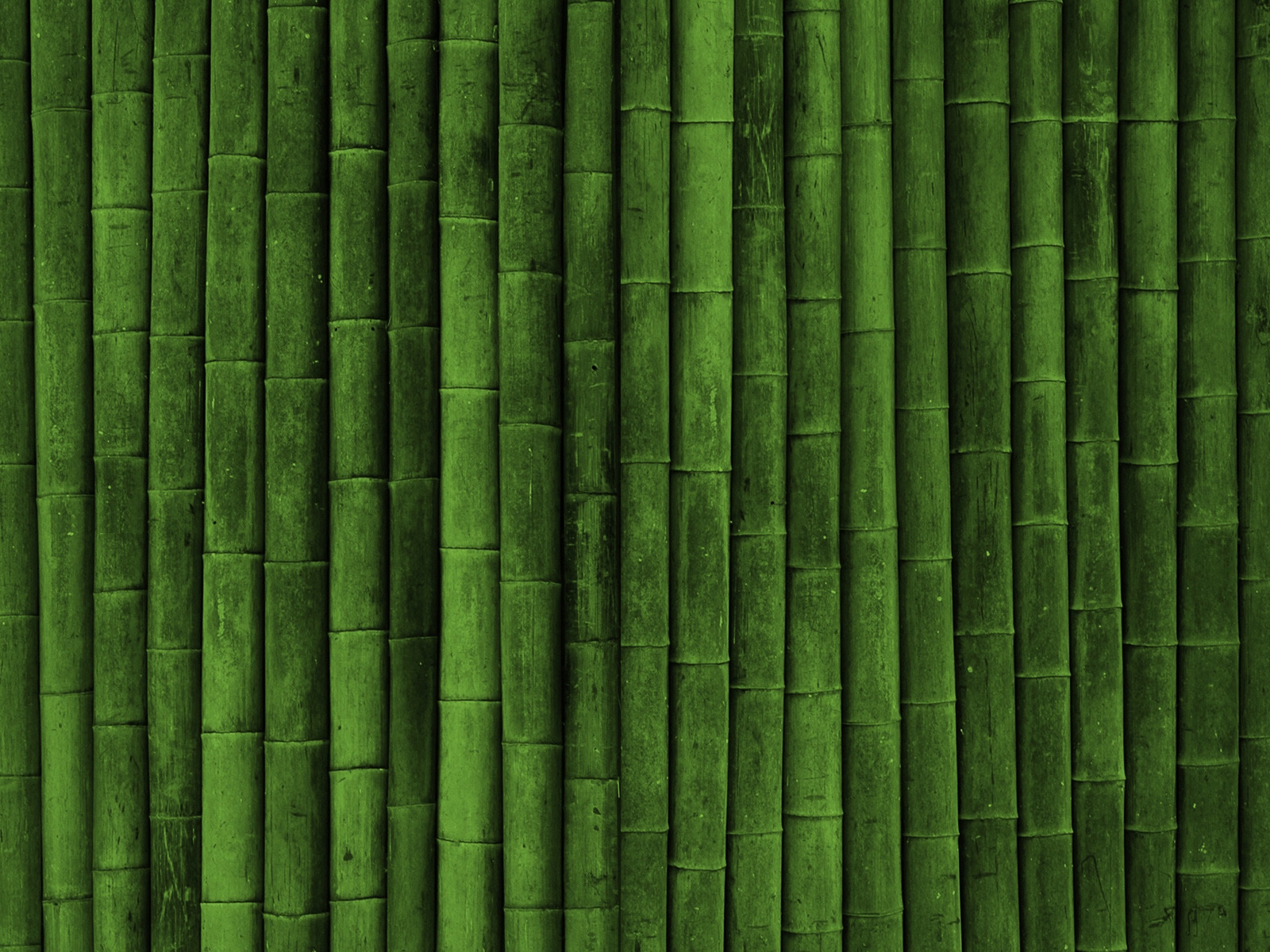 Bamboo for 1600 x 1200 resolution