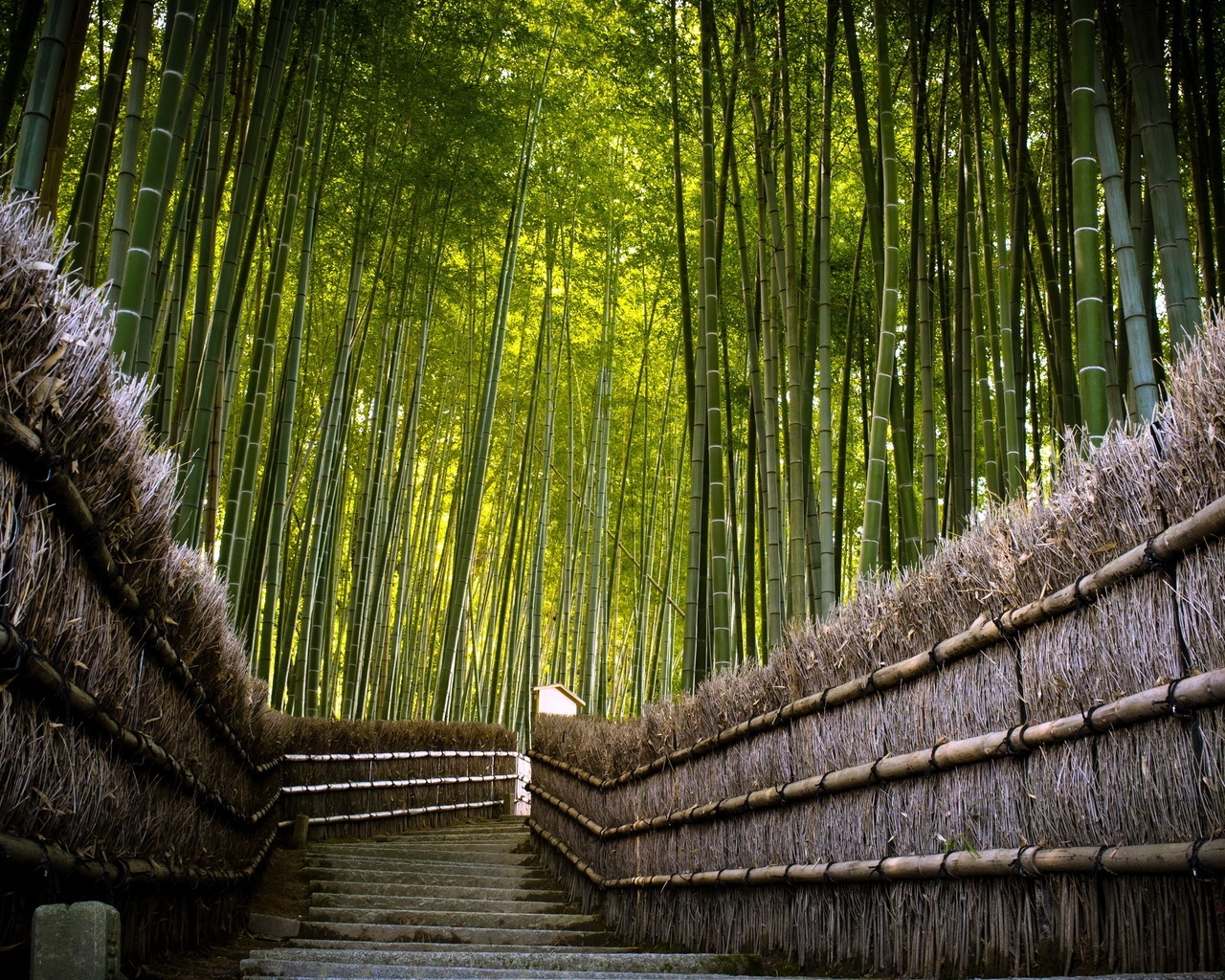 Bamboo Fence for 1280 x 1024 resolution