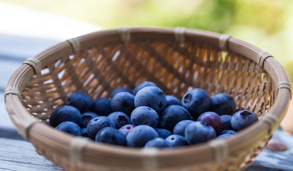 Basket of Blueberries for 1024 x 600 widescreen resolution