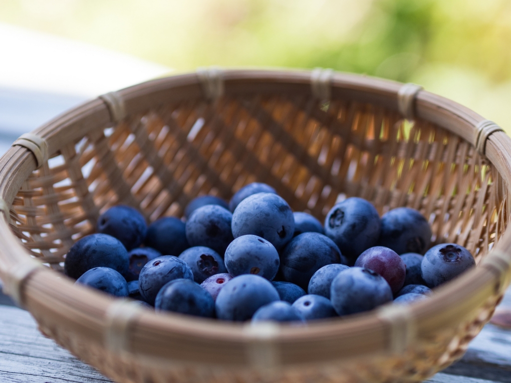 Basket of Blueberries for 1024 x 768 resolution