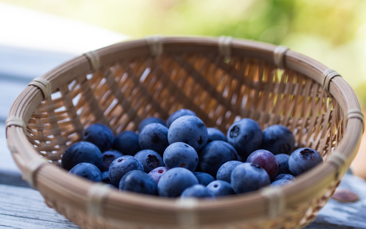 Basket of Blueberries for 1280 x 800 widescreen resolution