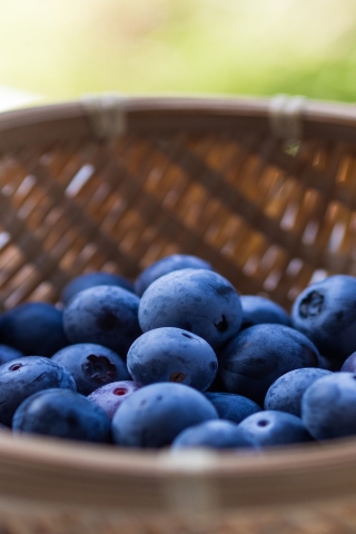 Basket of Blueberries for 320 x 480 iPhone resolution