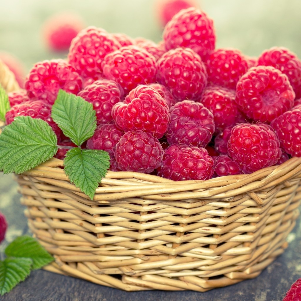 Basket of Raspberries for 1024 x 1024 iPad resolution