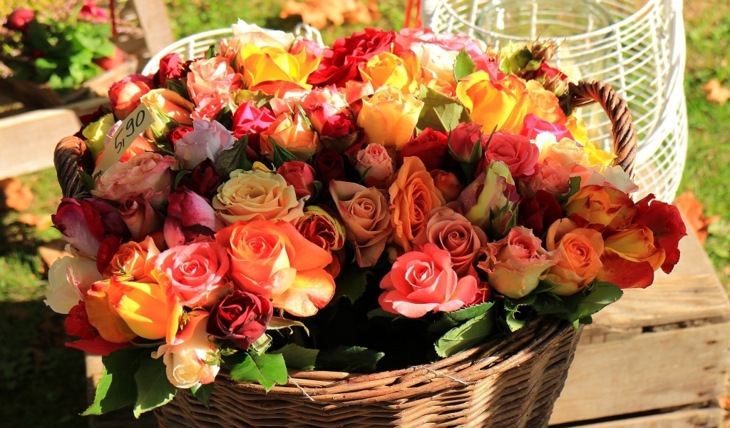 Basket of Roses for 1024 x 600 widescreen resolution