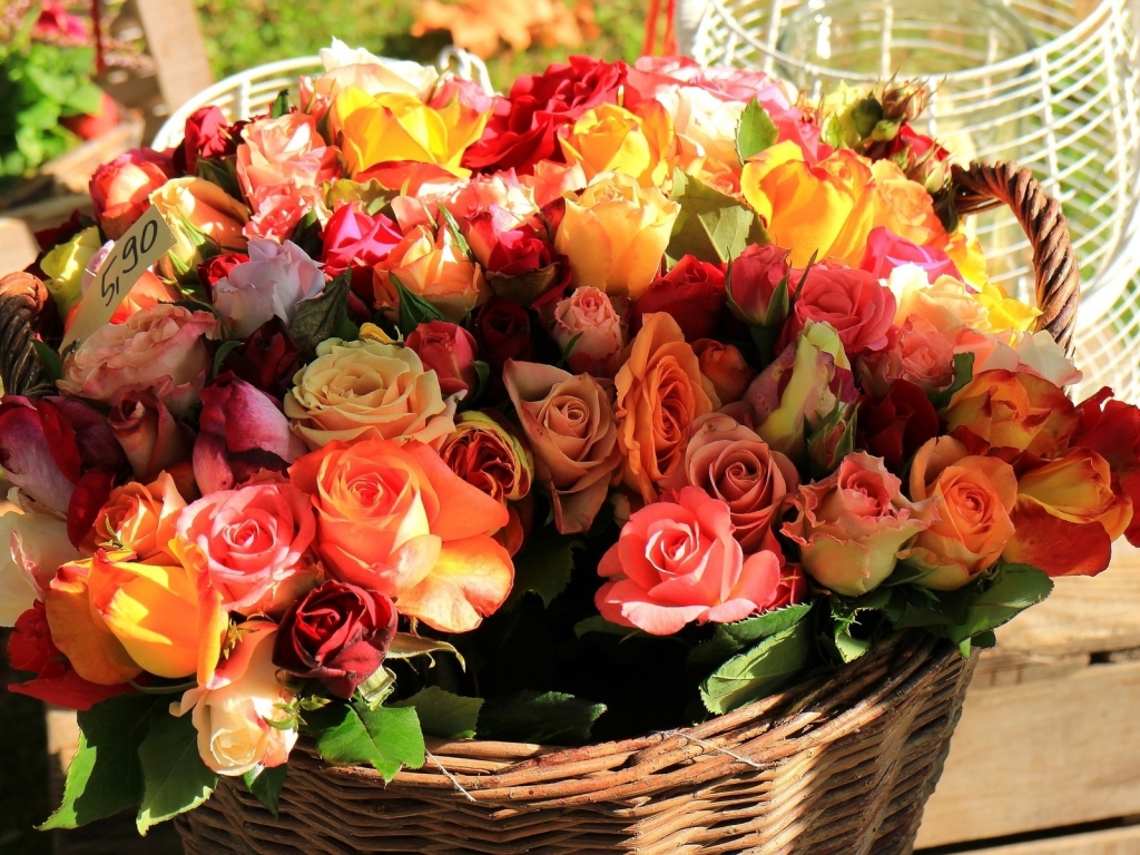 Basket of Roses for 1024 x 768 resolution
