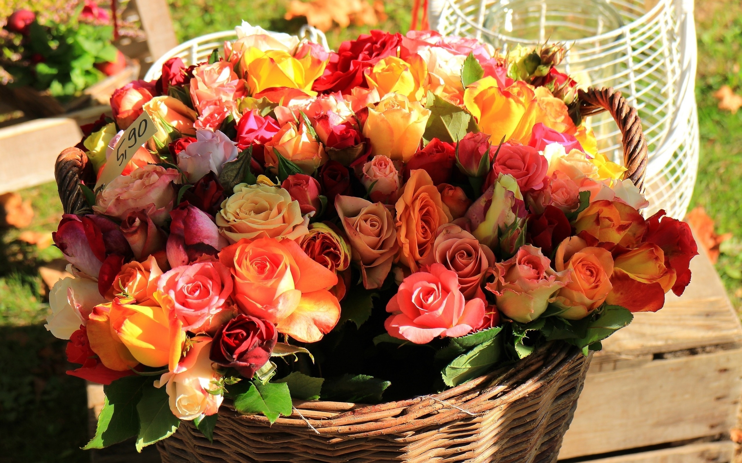 Basket of Roses for 2560 x 1600 widescreen resolution