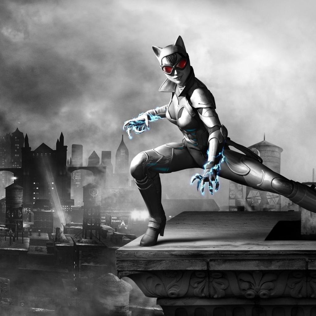 Batman Arkham City Armored Edition for 1024 x 1024 iPad resolution