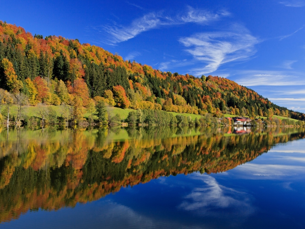 Bavaria Forest Landscape for 1024 x 768 resolution