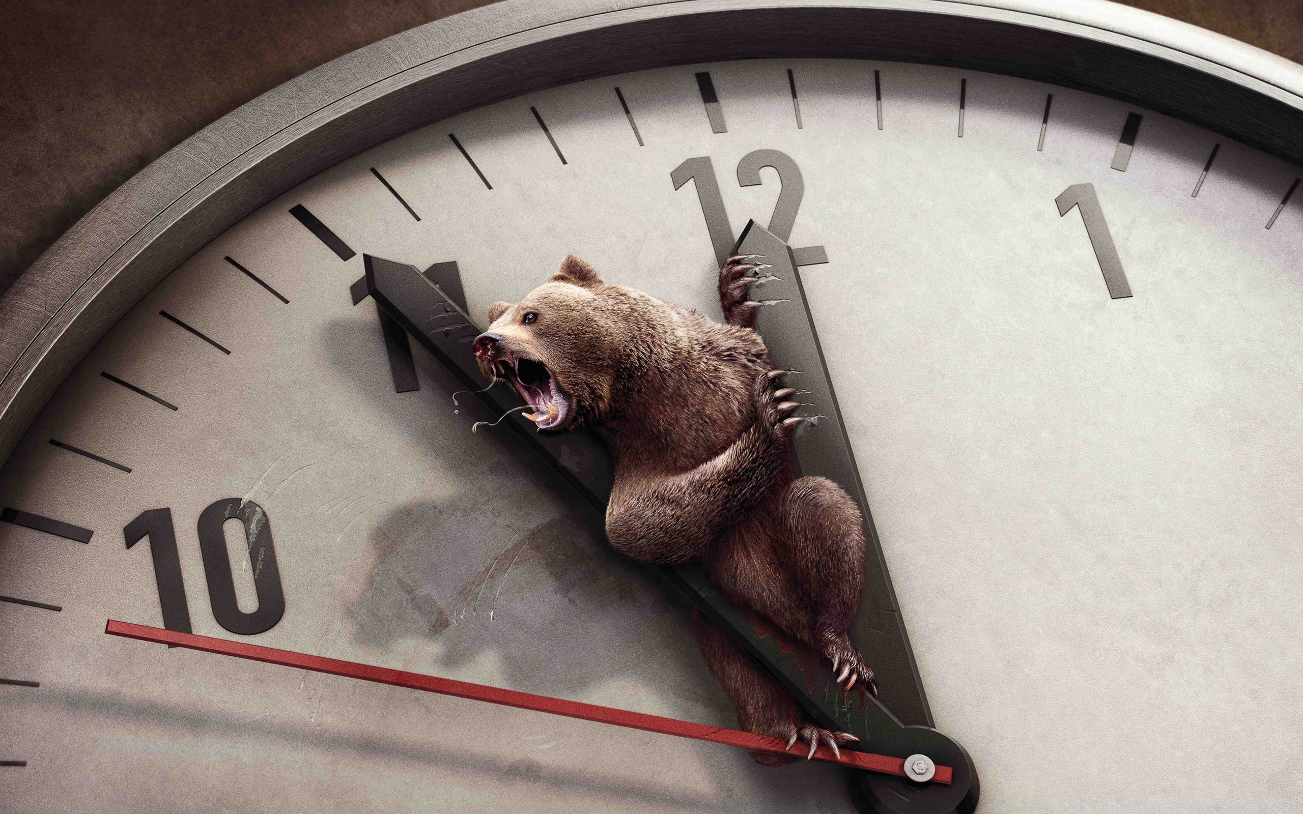 Bear and Clock for 2560 x 1600 widescreen resolution
