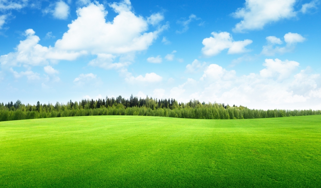 Beaufitul Green Grass Field for 1024 x 600 widescreen resolution