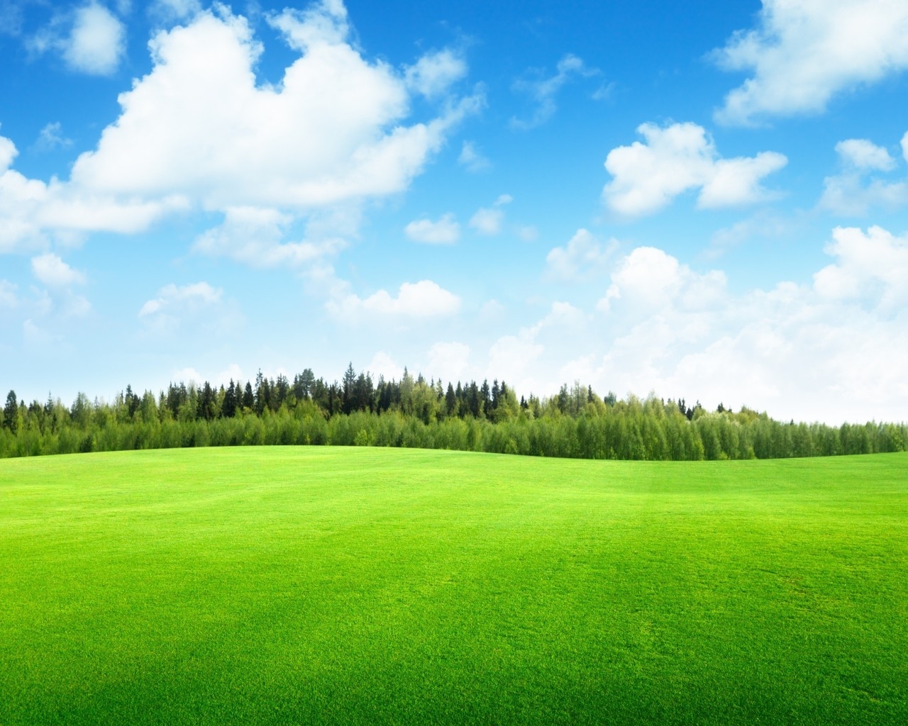Beaufitul Green Grass Field for 1280 x 1024 resolution