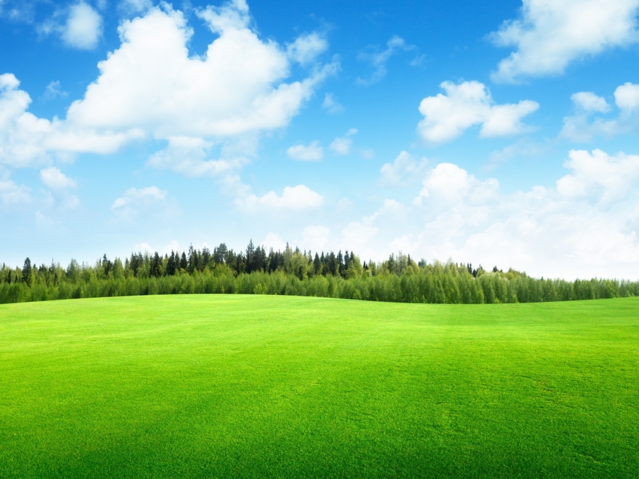 Beaufitul Green Grass Field for 1280 x 960 resolution