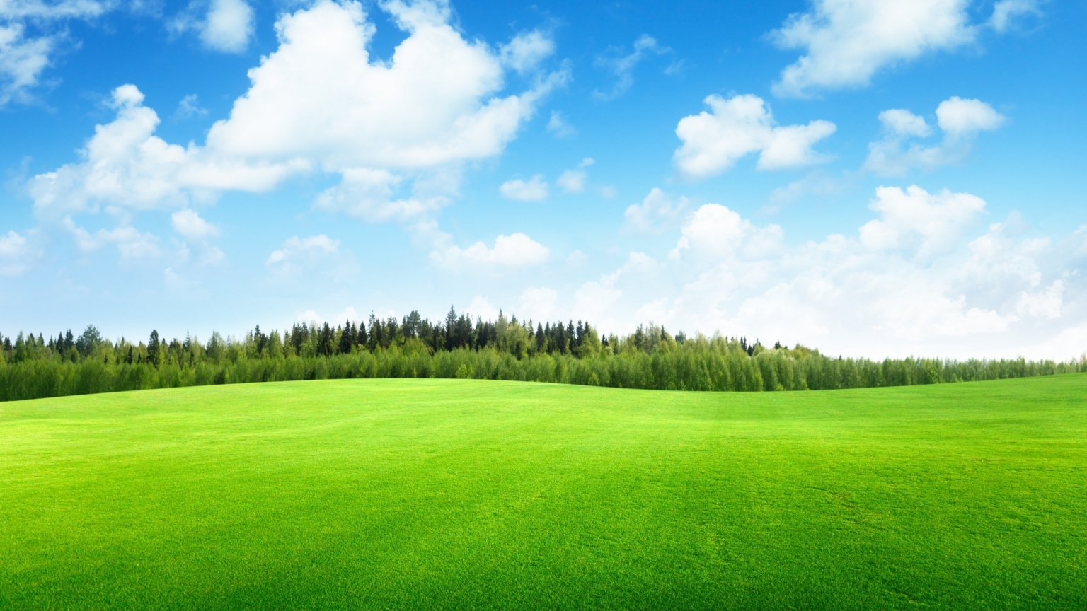 Beaufitul Green Grass Field for 1536 x 864 HDTV resolution