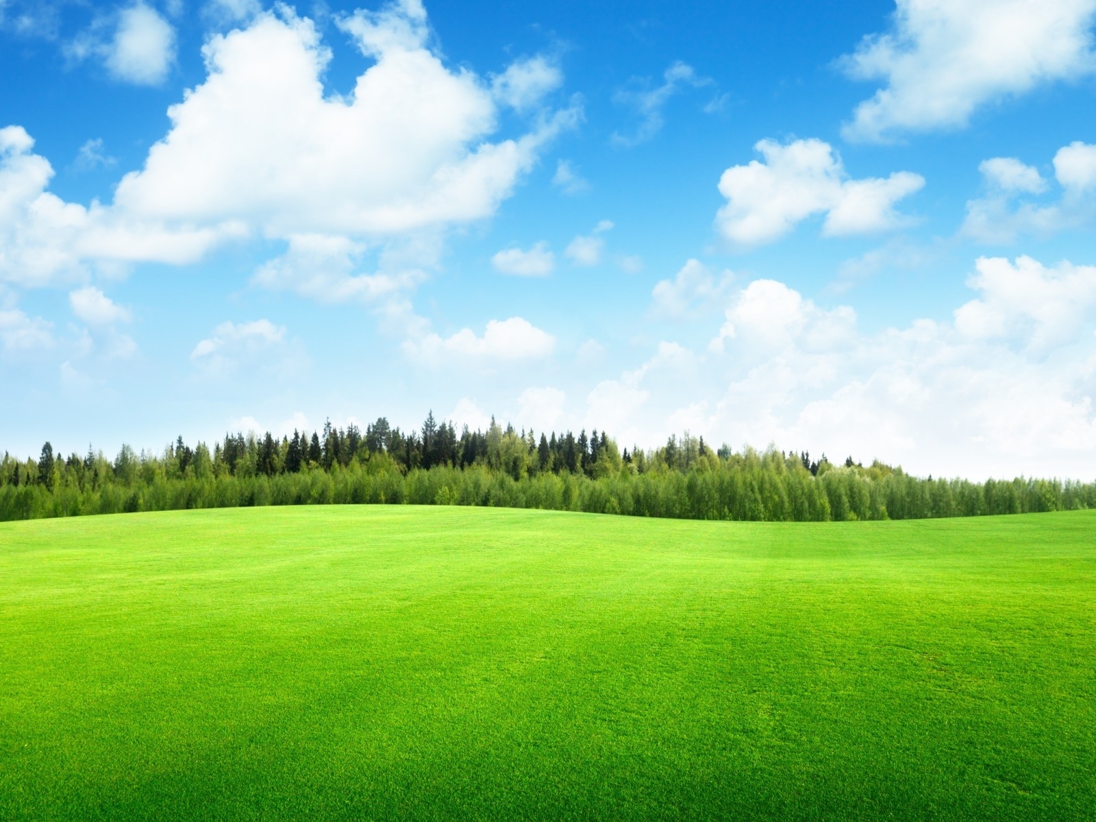 Beaufitul Green Grass Field for 1600 x 1200 resolution