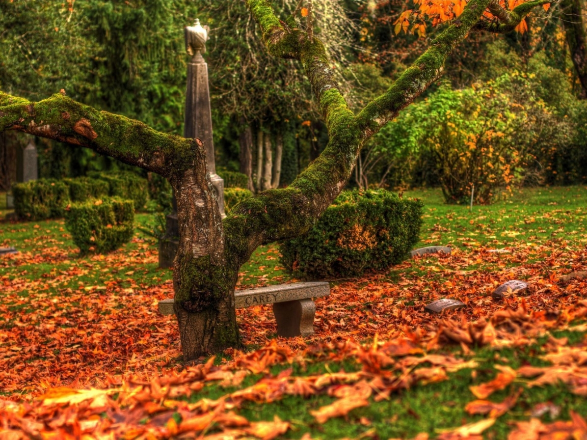 Beautiful Autumn scenery for 1152 x 864 resolution