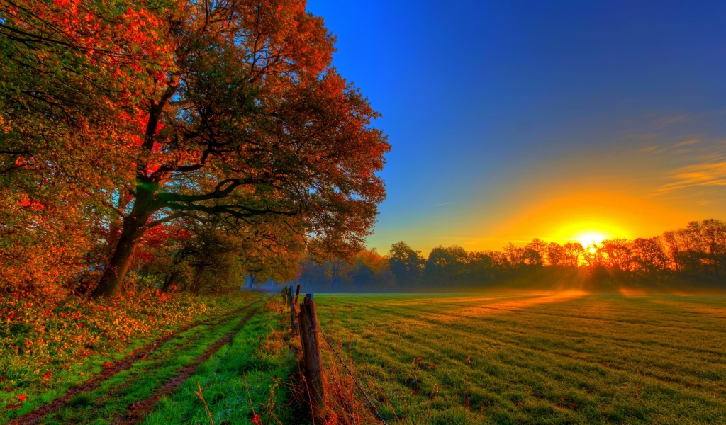 Beautiful Autumn Sunset for 1024 x 600 widescreen resolution