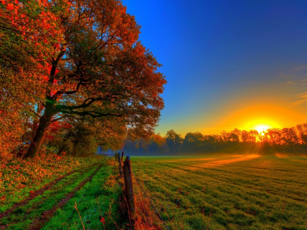 Beautiful Autumn Sunset for 1024 x 768 resolution