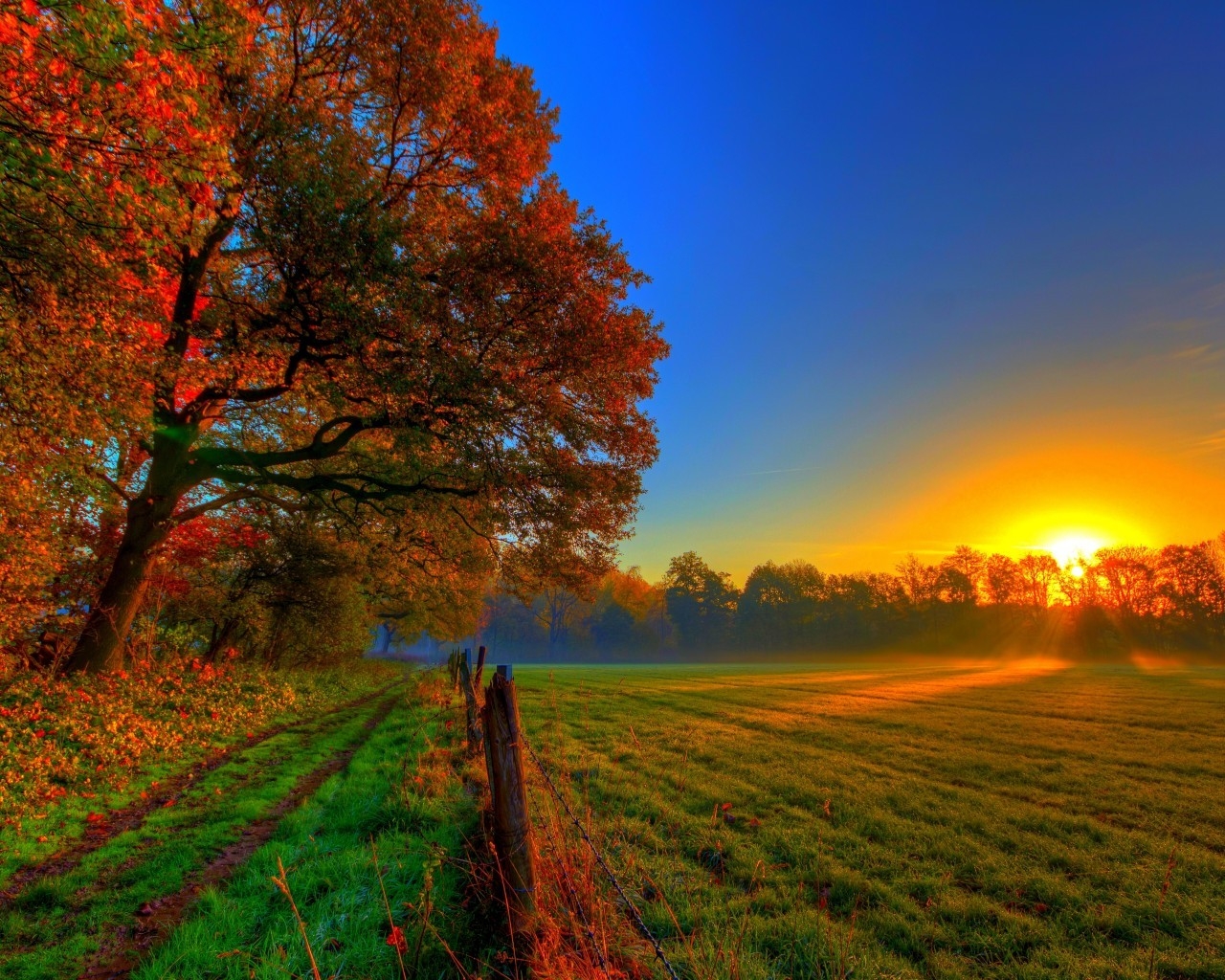Beautiful Autumn Sunset for 1280 x 1024 resolution