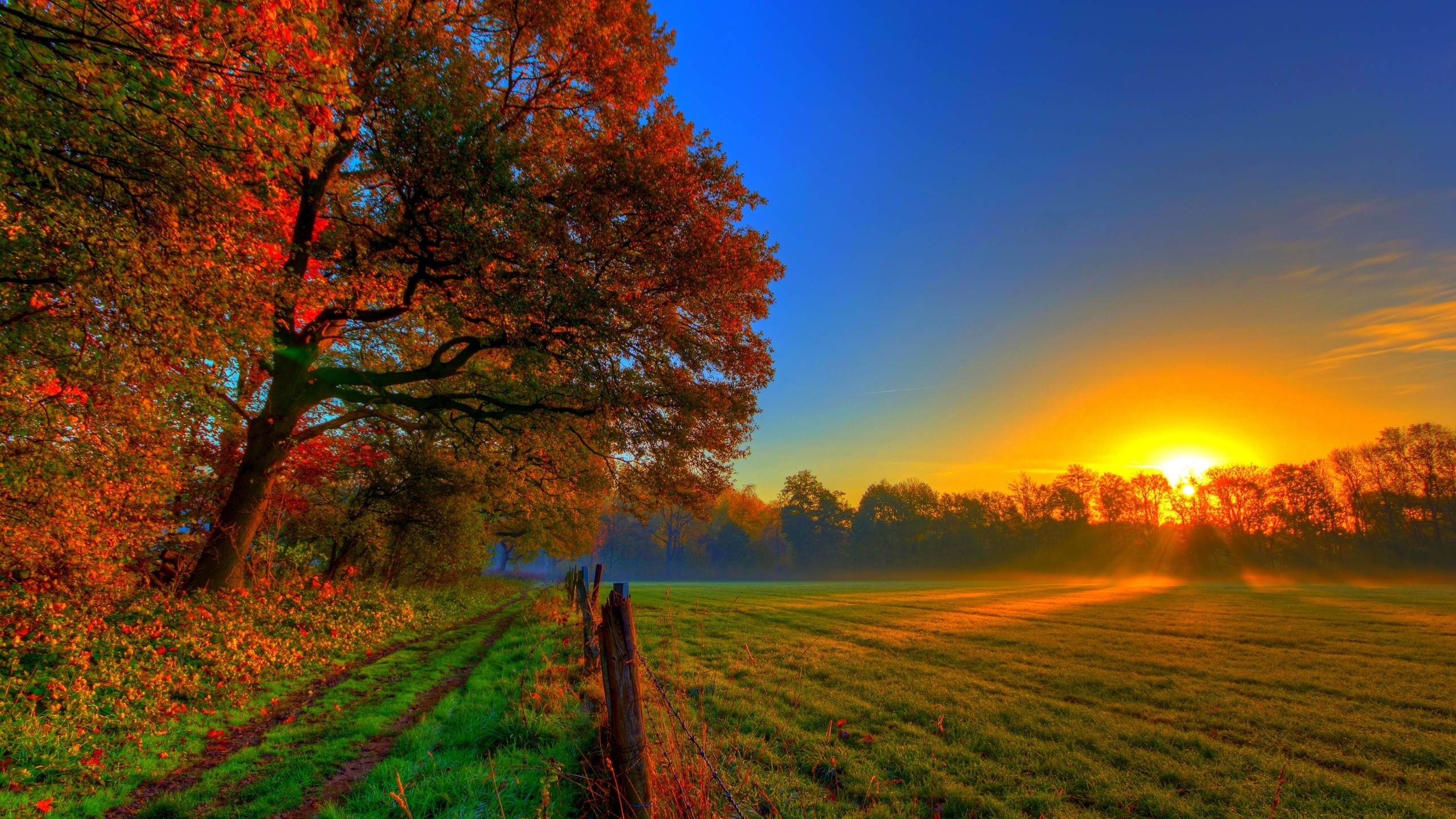 Beautiful Autumn Sunset for 2560x1440 HDTV resolution