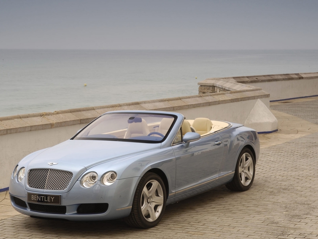 Beautiful Bentley Coupe for 1024 x 768 resolution