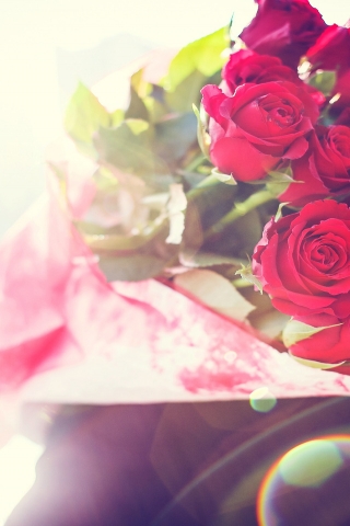 Beautiful Bouquet of Roses for 320 x 480 iPhone resolution